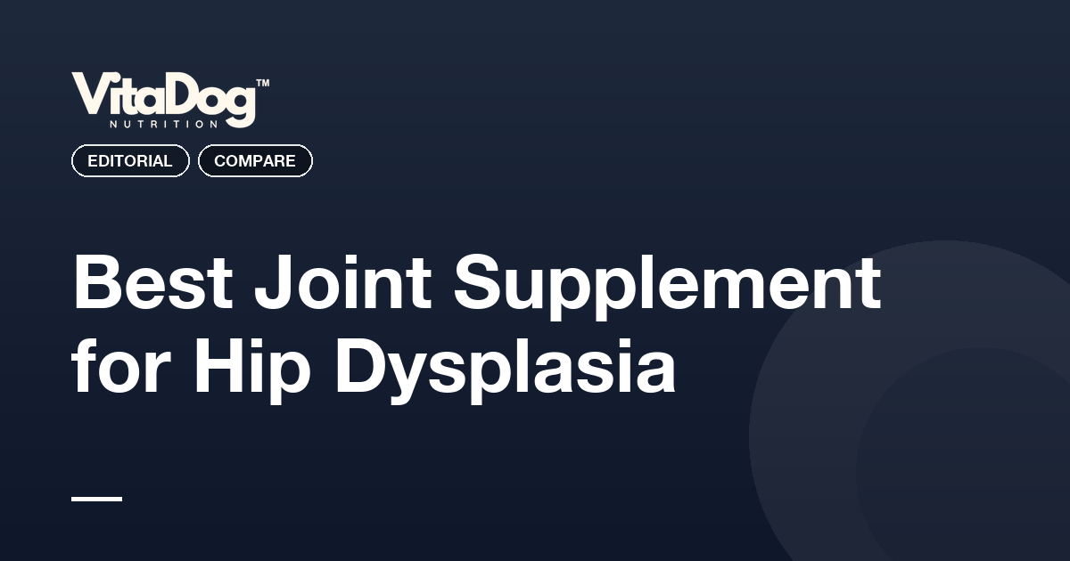 Best Dog Joint Supplement for Hip Dysplasia: What Actually Helps