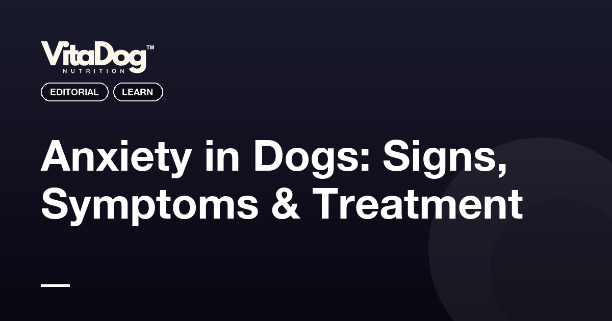 Anxiety in Dogs: Signs, Symptoms & Treatment
