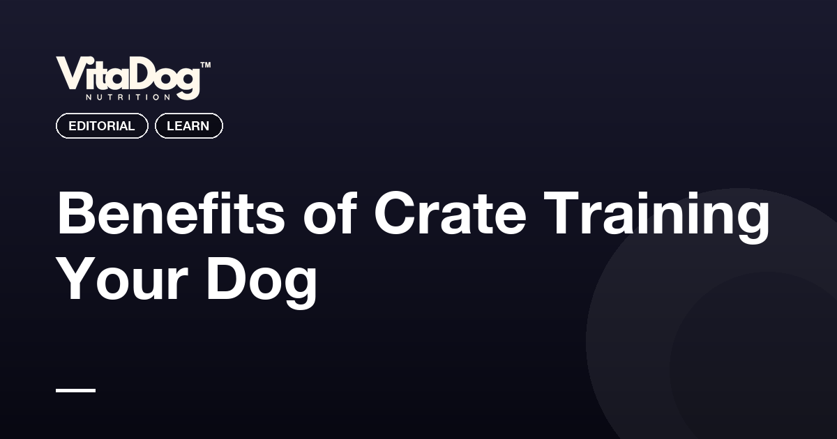 Benefits of Crate Training Your Dog