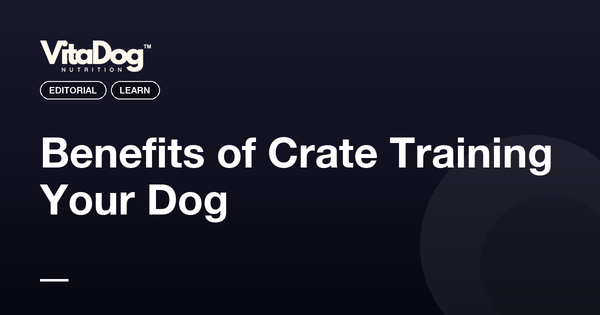 Benefits of Crate Training Your Dog