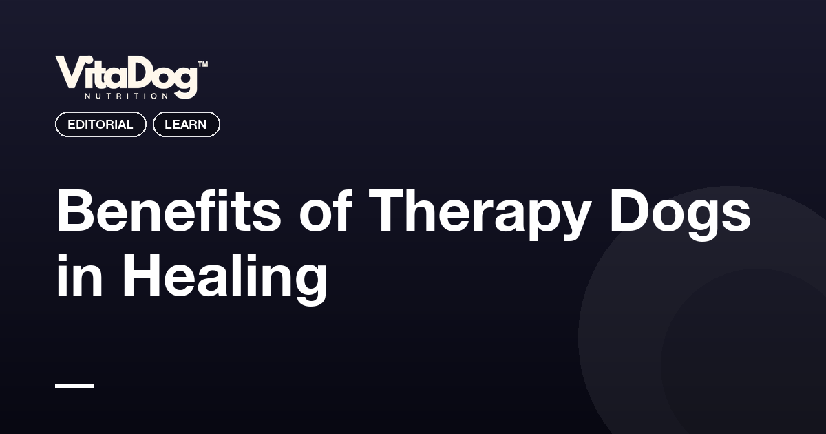 Benefits of Therapy Dogs in Healing