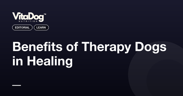 Benefits of Therapy Dogs in Healing