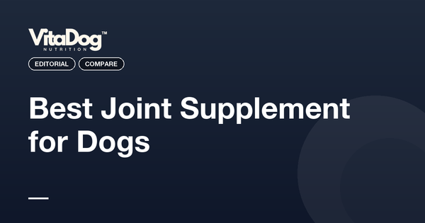Vet-Approved Joint Supplements for Dogs (2026): 7 Tested | VitaDog