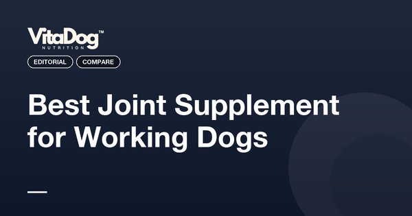 Best Joint Supplement for Working Dogs
