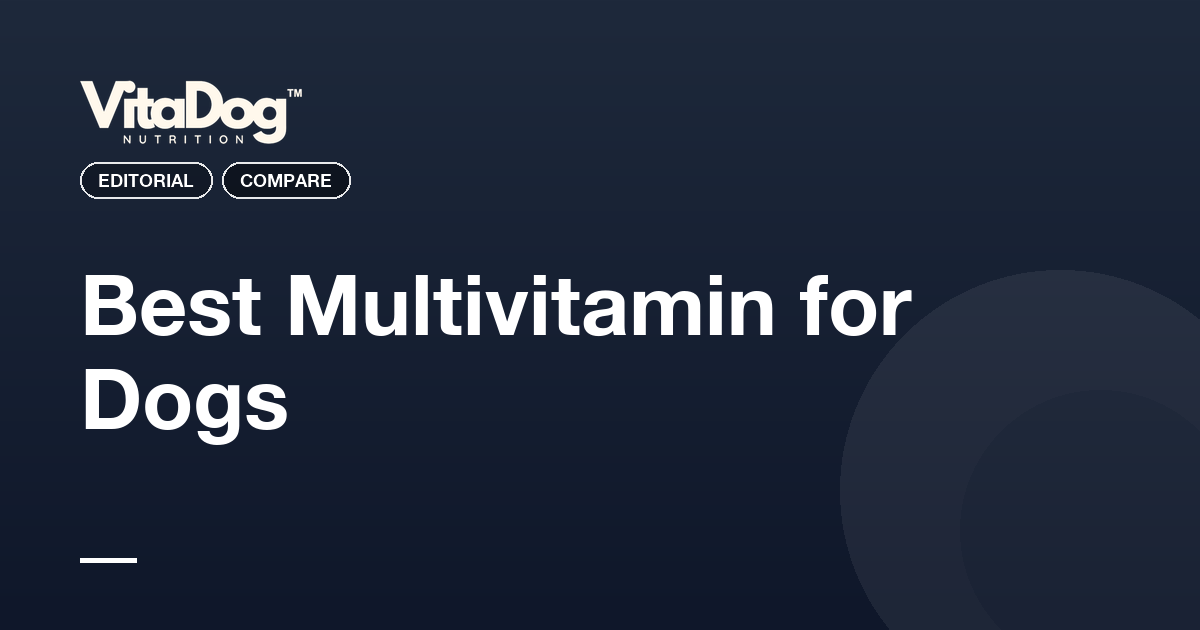 Best Multivitamin for Dogs