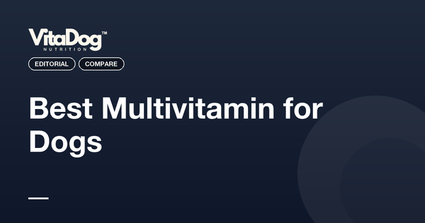 Best Multivitamin for Dogs
