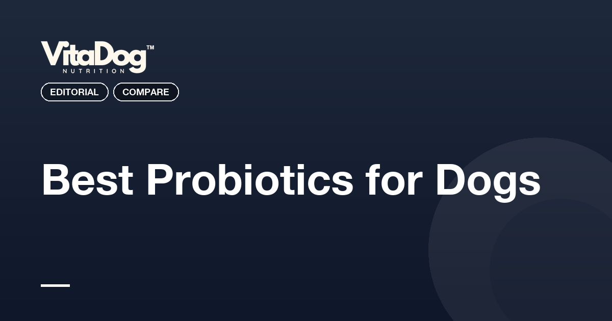 Best Probiotics for Dogs