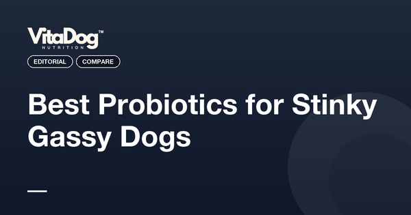 Best Probiotics for Stinky Gassy Dogs