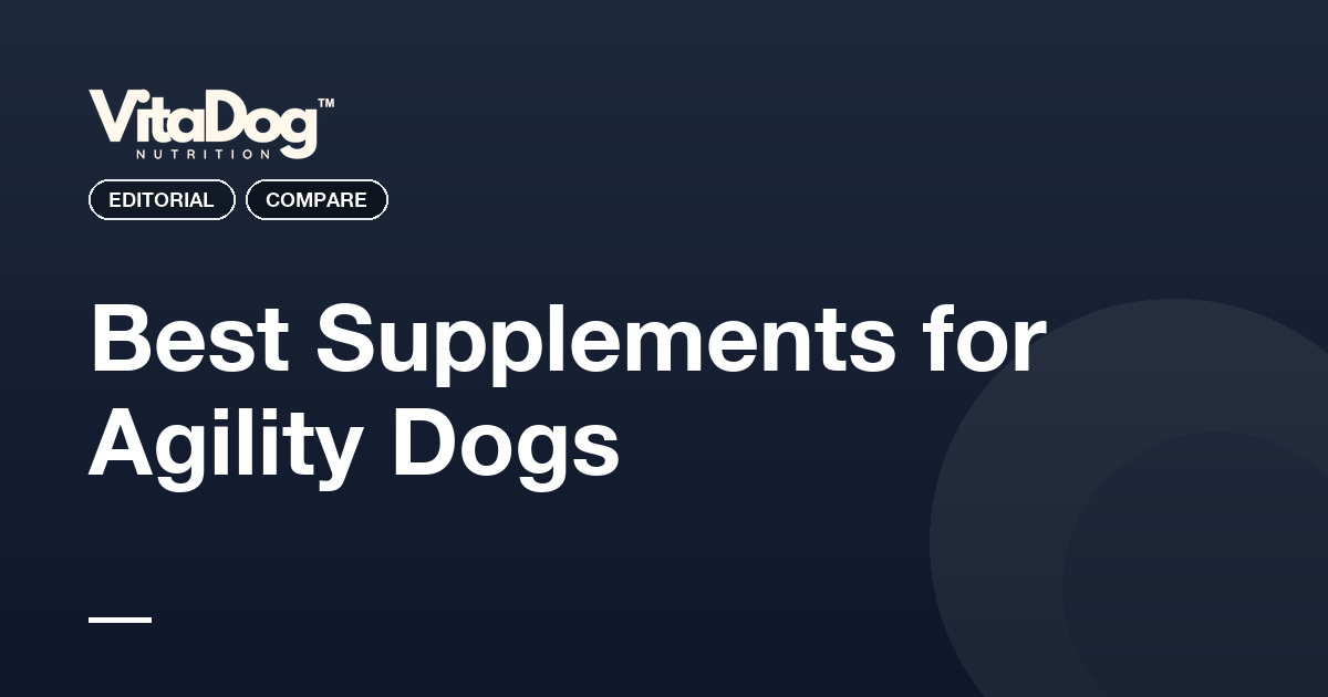 Best Supplements for Agility Dogs