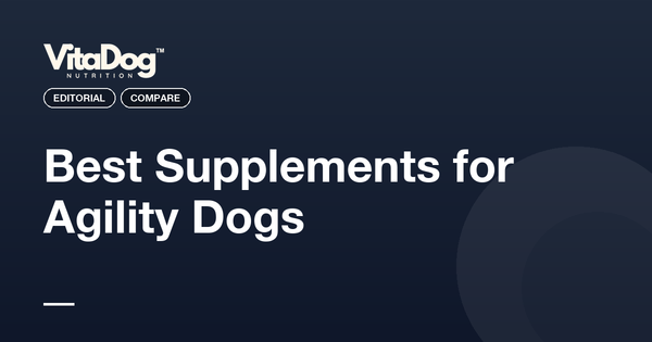 Best Supplements for Agility Dogs