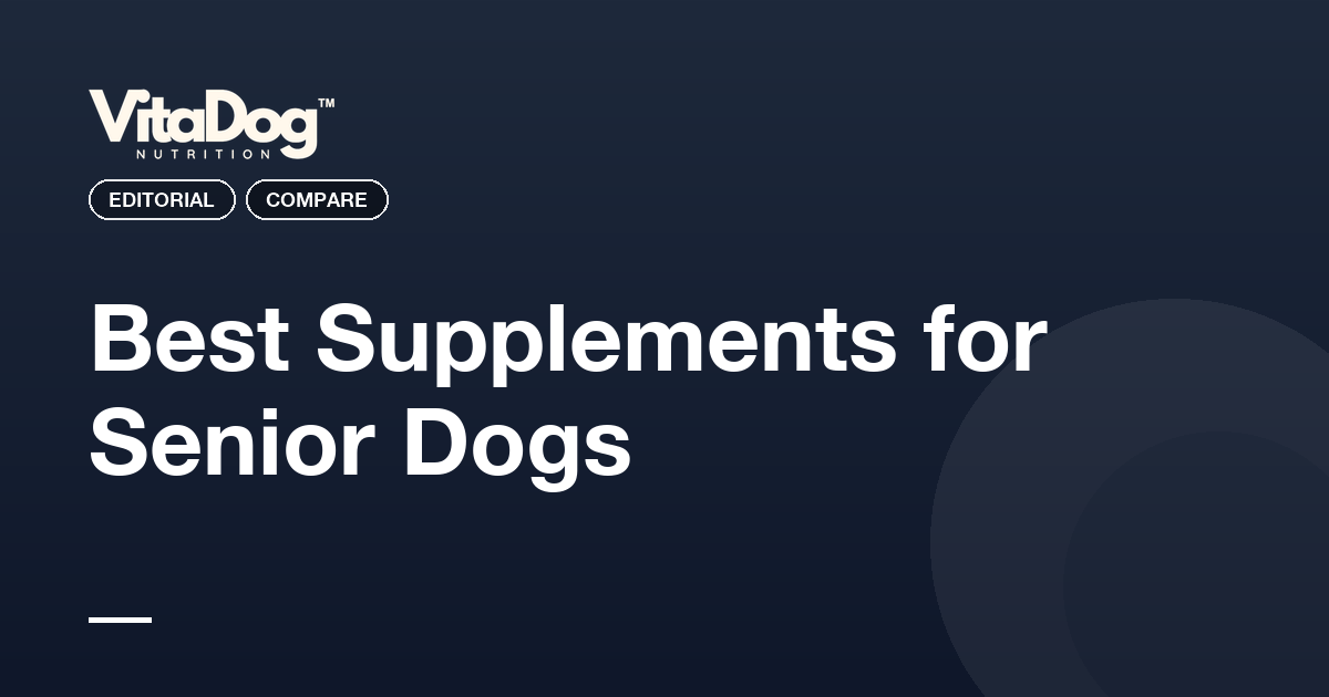 Best Supplements for Senior Dogs