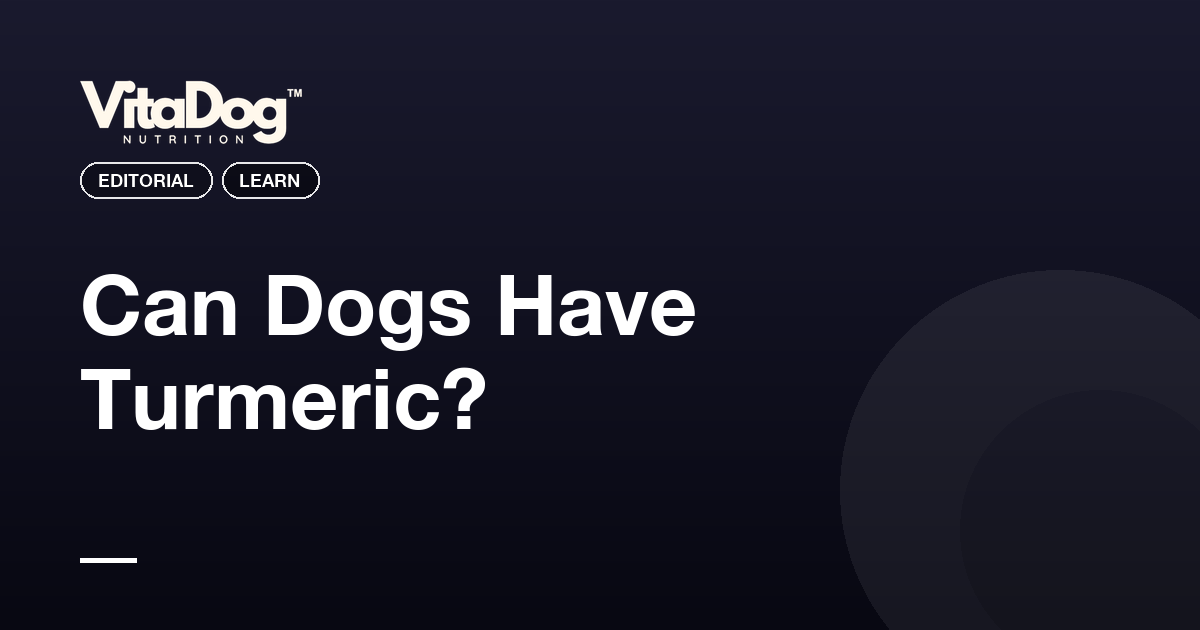 Can Dogs Have Turmeric?