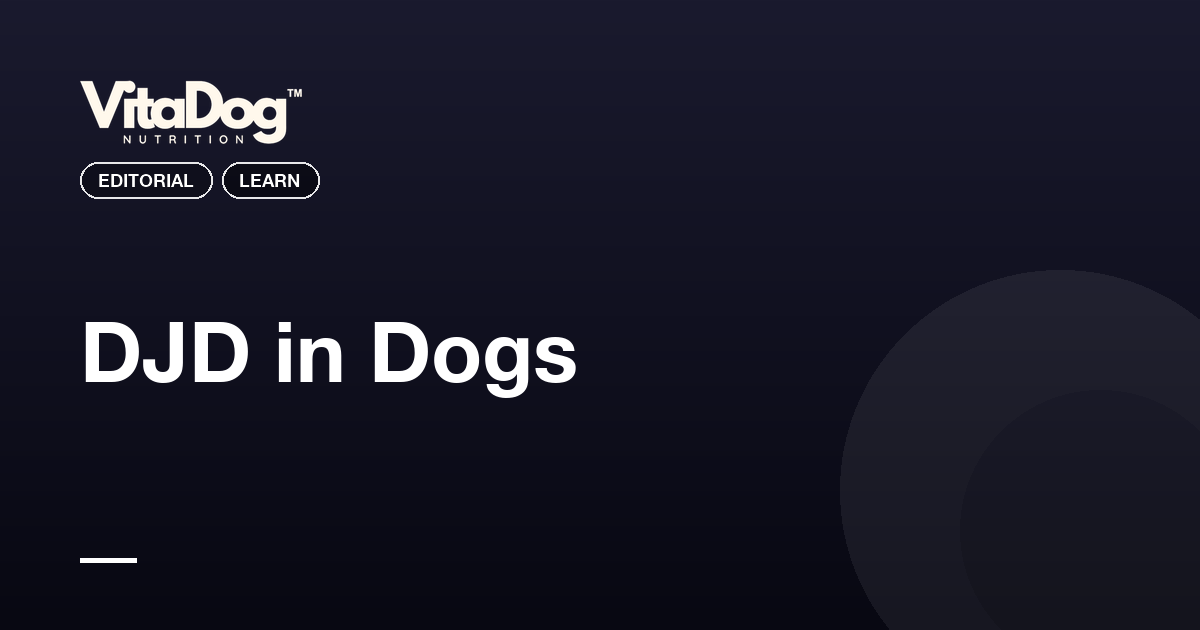 DJD in Dogs