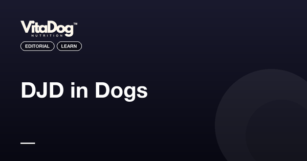 DJD in Dogs