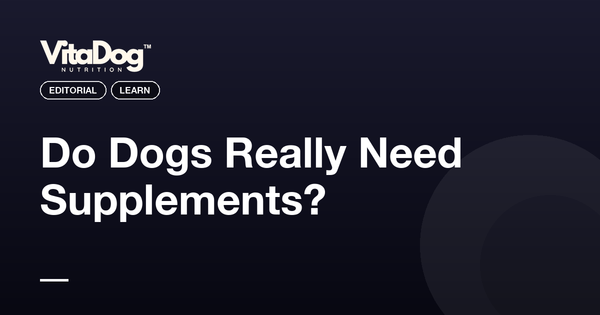Do Dogs Really Need Supplements?