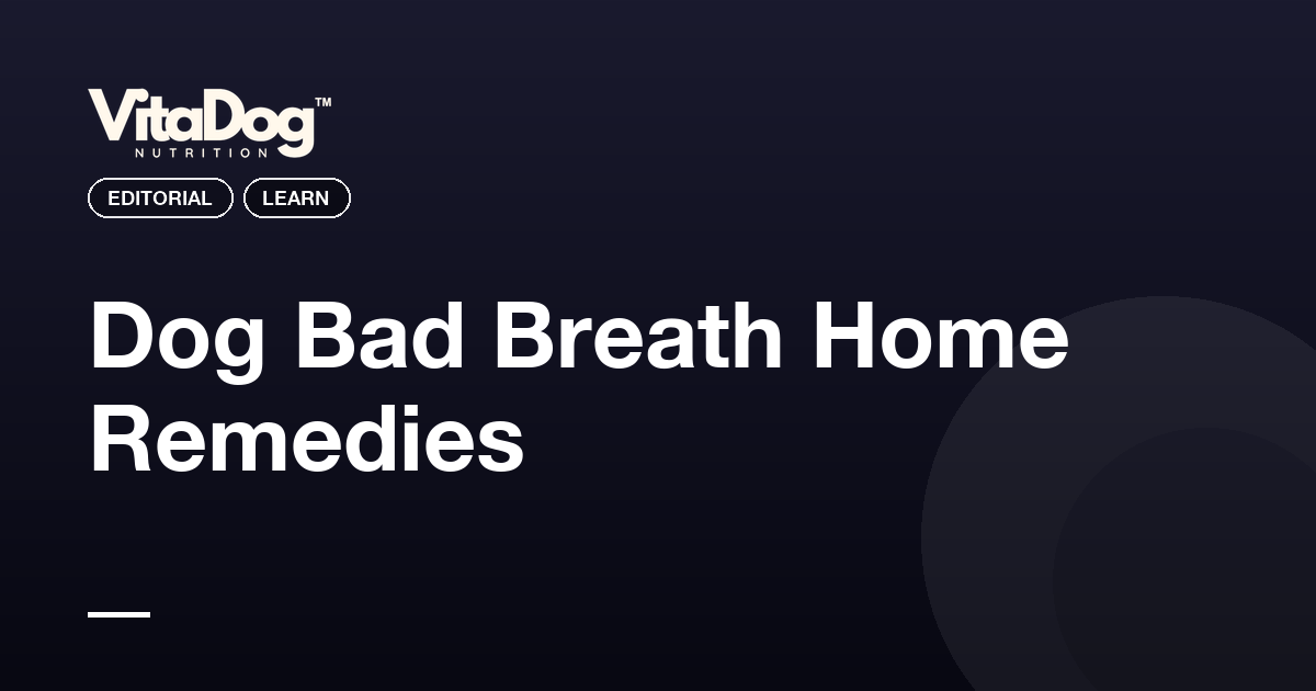 Dog Bad Breath Home Remedies
