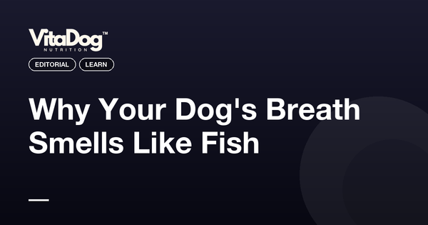 Why Your Dog's Breath Smells Like Fish