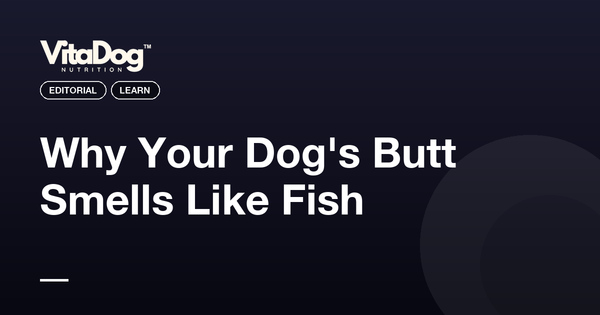 Why Your Dog's Butt Smells Like Fish