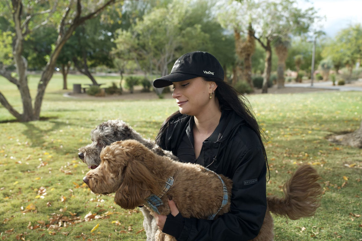 Owner in a park holding two curly-coated doodles