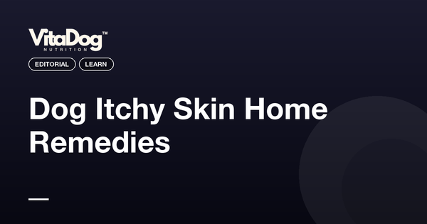 Dog Itchy Skin Home Remedies