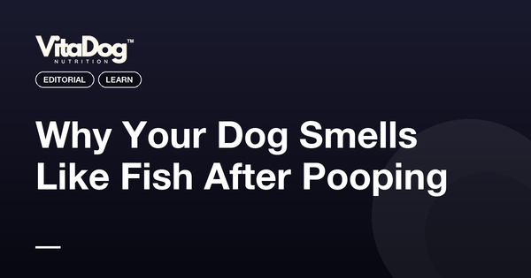 Why Your Dog Smells Like Fish After Pooping