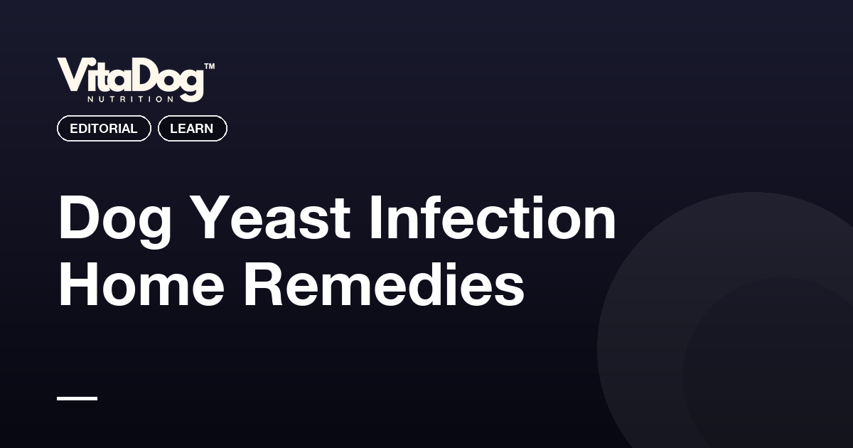 Dog Yeast Infection Home Remedies