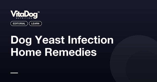 Dog Yeast Infection Home Remedies