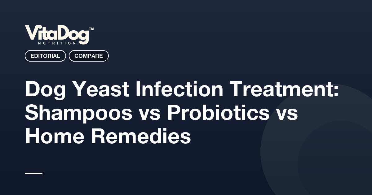 Dog Yeast Infection Treatment: Shampoos vs Probiotics vs Home Remedies