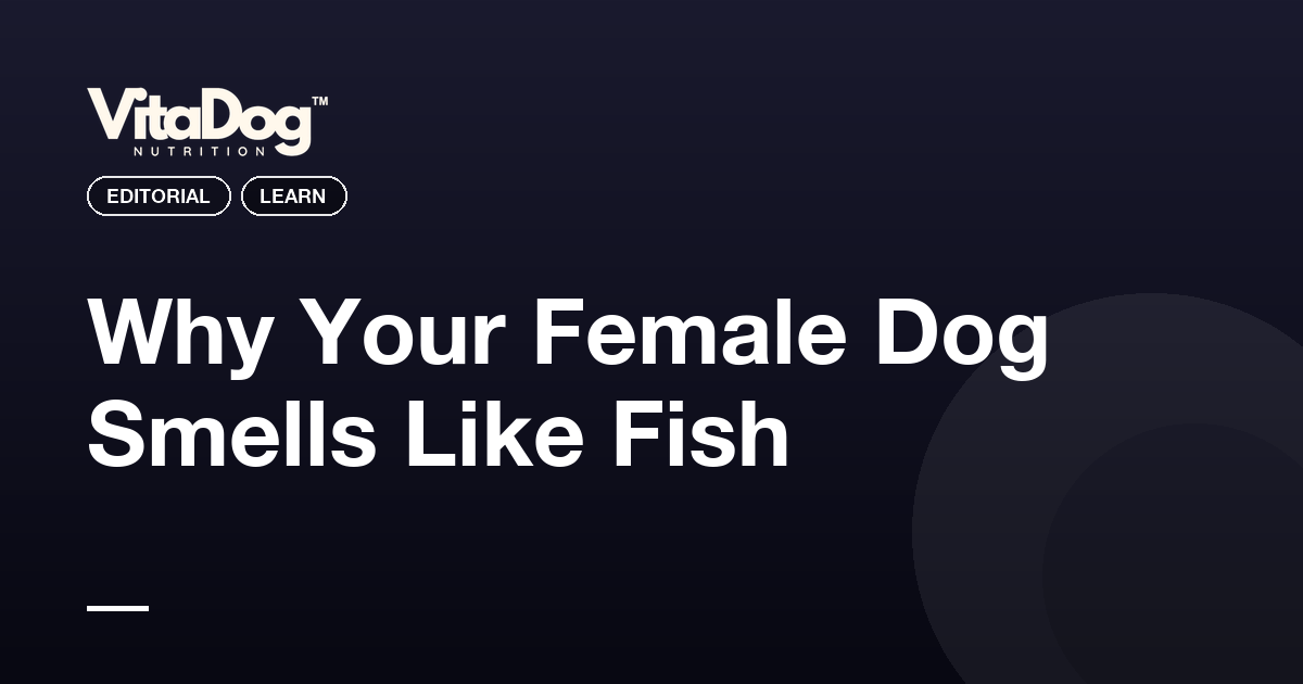 Why Your Female Dog Smells Like Fish