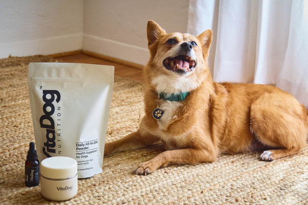 Shiba-type dog beside a VitaDog pouch and jar on the floor