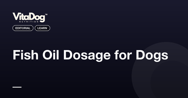Fish Oil Dosage for Dogs