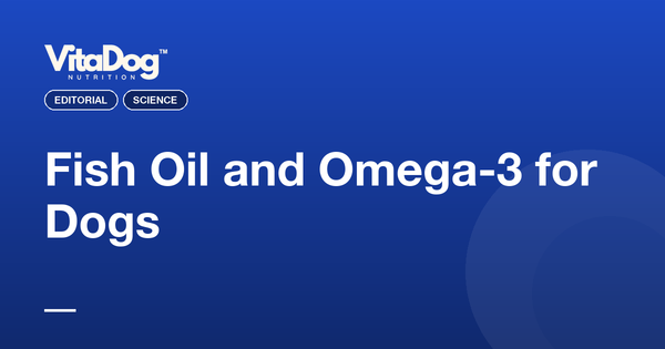 Fish Oil and Omega-3 for Dogs