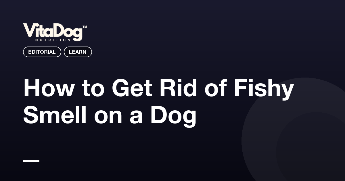 How to Get Rid of Fishy Smell on a Dog