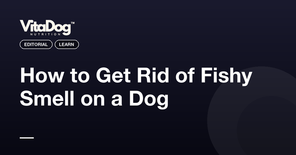 How to Get Rid of Fishy Smell on a Dog