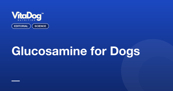 Glucosamine for Dogs