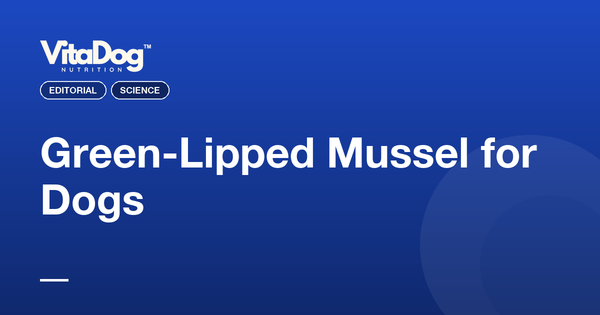 Green-Lipped Mussel for Dogs
