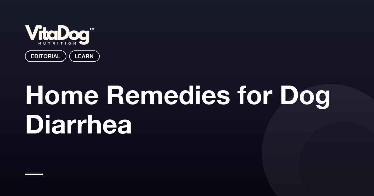 Home Remedies for Dog Diarrhea