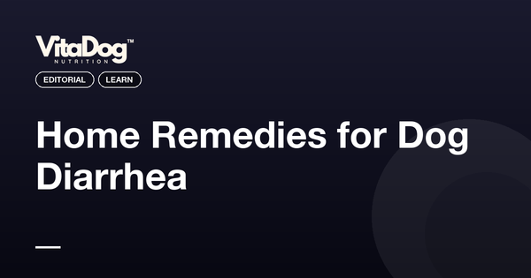 Home Remedies for Dog Diarrhea