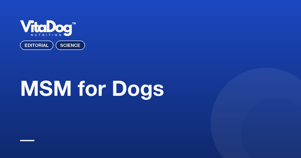MSM for Dogs