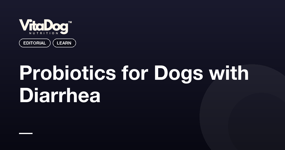 Probiotics for Dogs with Diarrhea