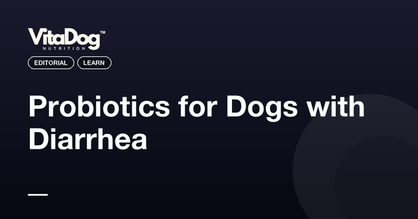 Probiotics for Dogs with Diarrhea