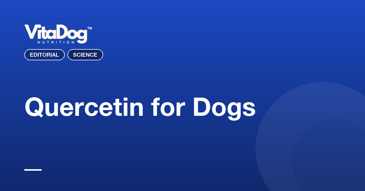 Quercetin for Dogs