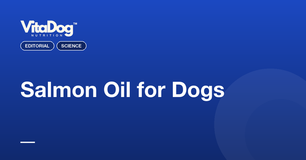 Salmon Oil for Dogs