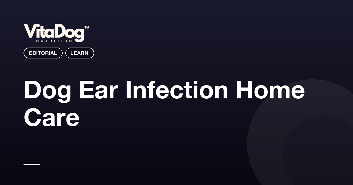 Dog Ear Infection Home Care