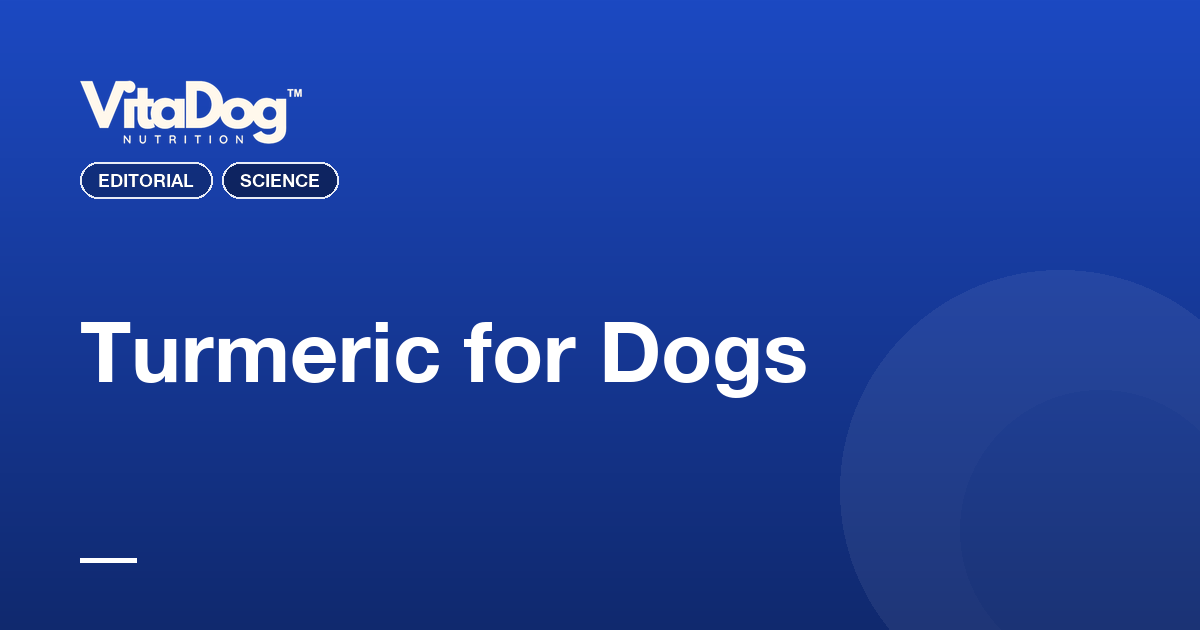 Turmeric for Dogs