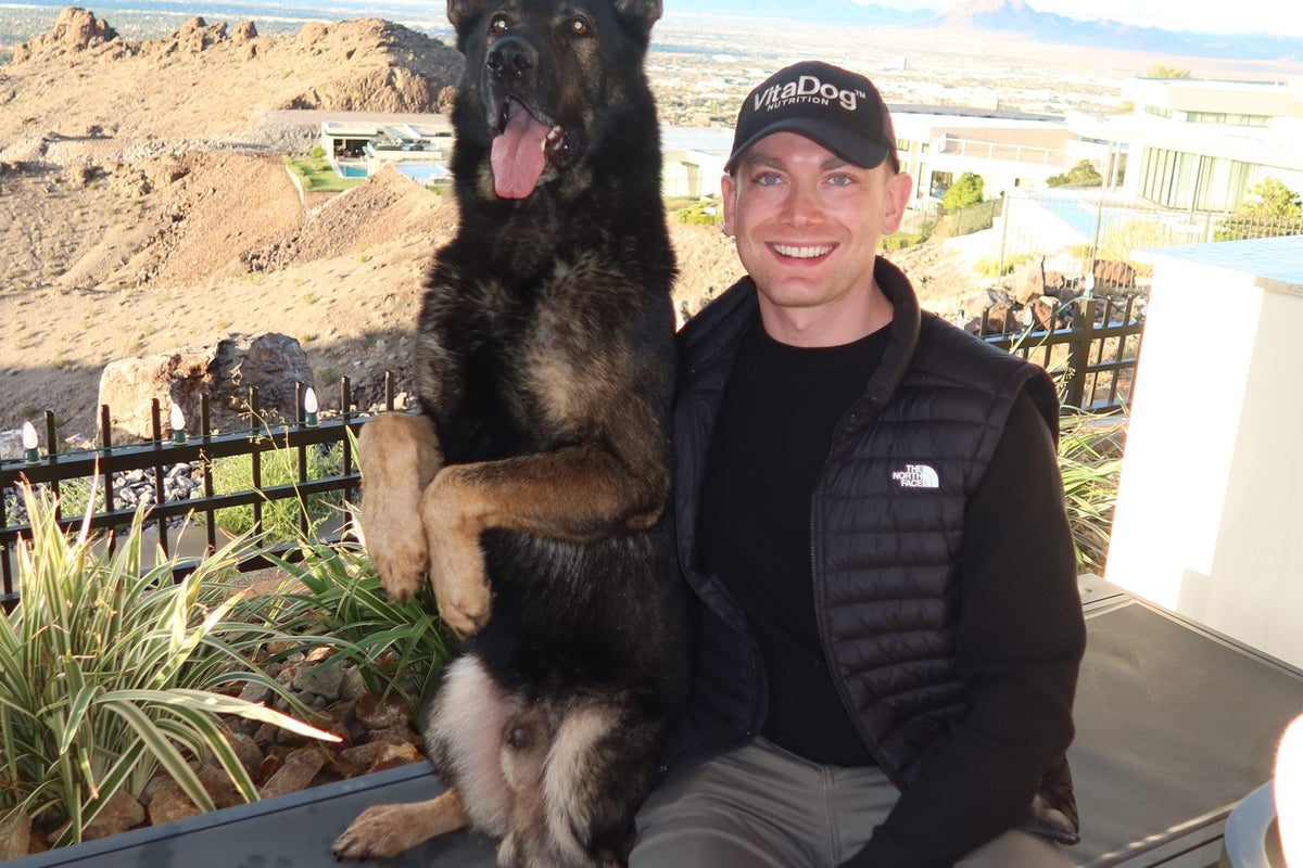 Working Dog Supplements Complete Guide
