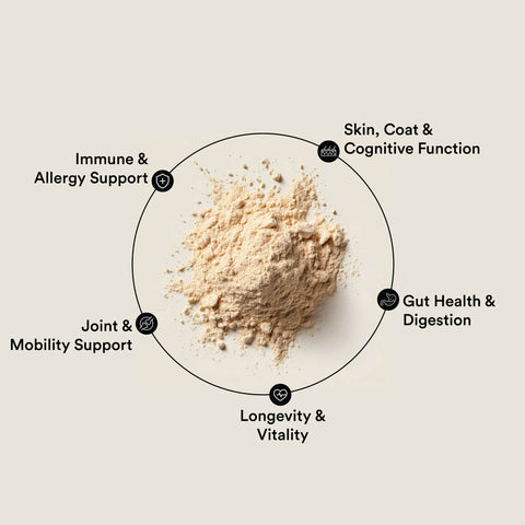 Daily All-In-One Supplement