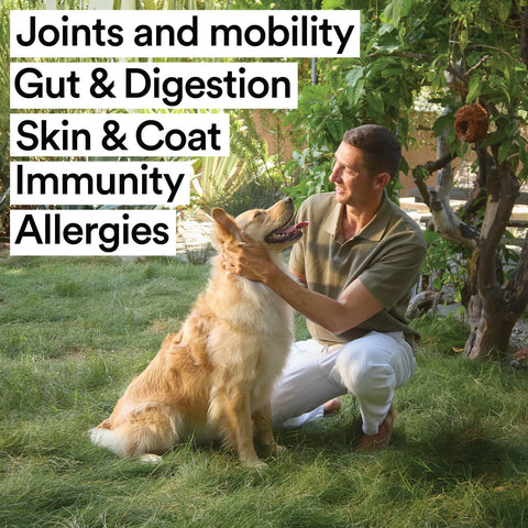 Daily All-In-One Supplement