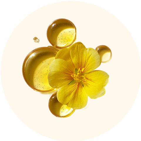 Evening Primrose Oil