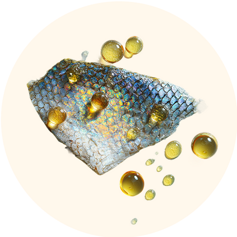Fish Oil